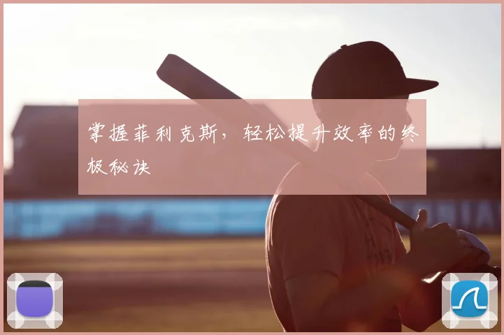 掌握菲利克斯，轻松提升效率的终极秘诀