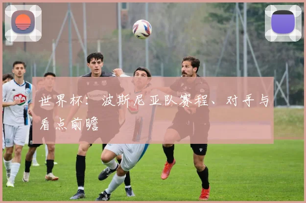 世界杯：波斯尼亚队赛程、对手与看点前瞻